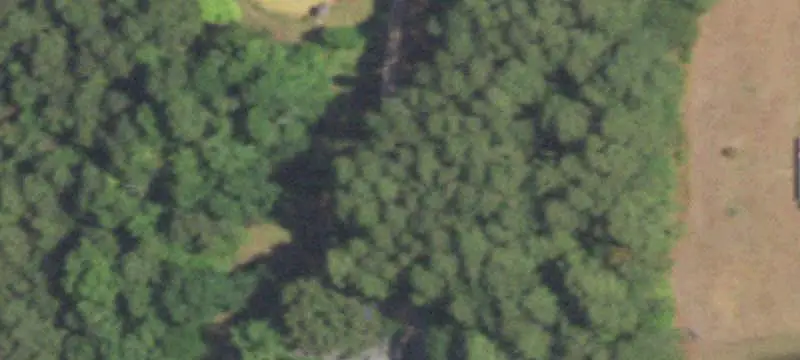 9557 Fm-726 S, Gilmer, TX 75645