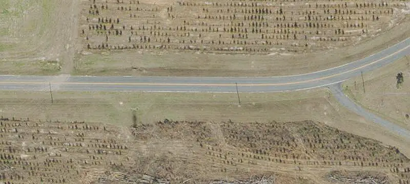 Land