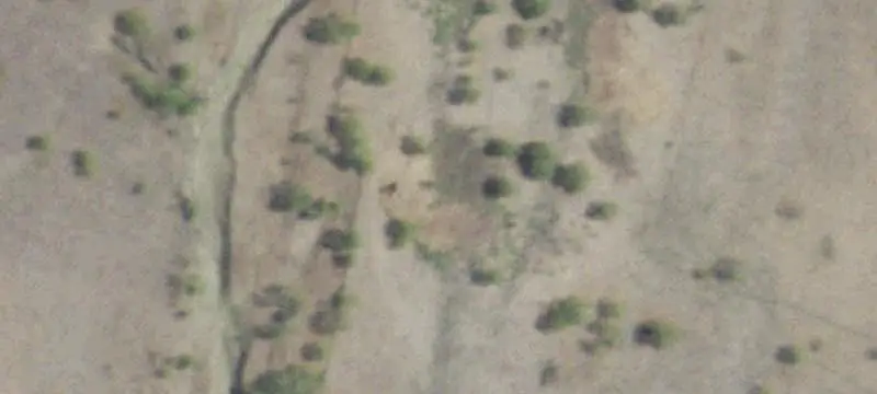 Hunting Land