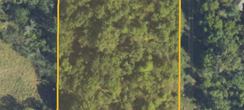 Land Parcel with Mature Trees