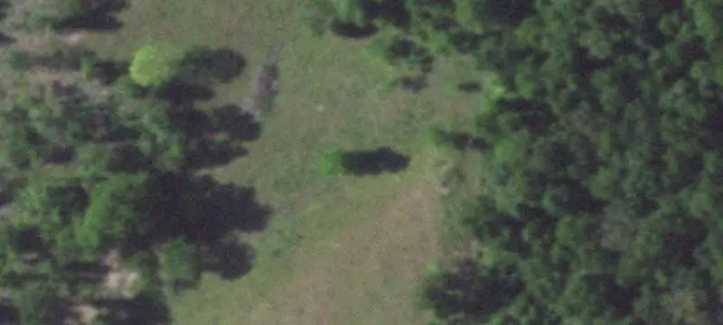 Ranch Land with Pasture