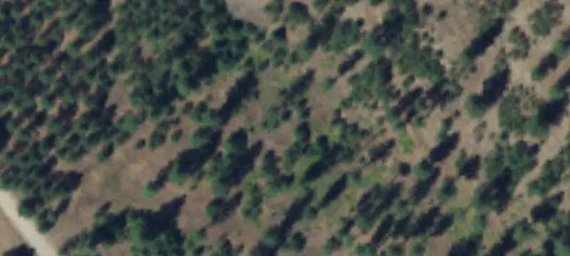 Land / Unimproved Land