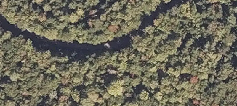 Forested Waterfront Land