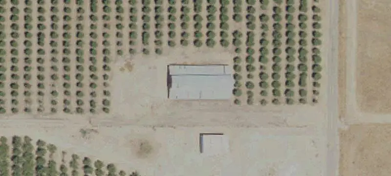 Almond Orchard Farm