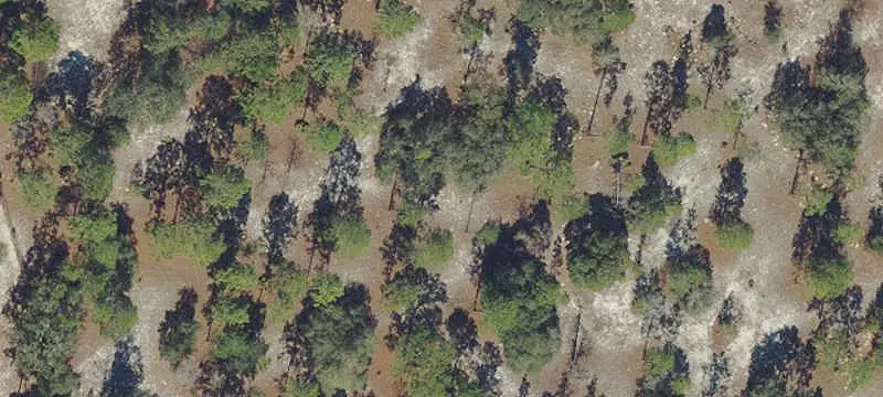 Land