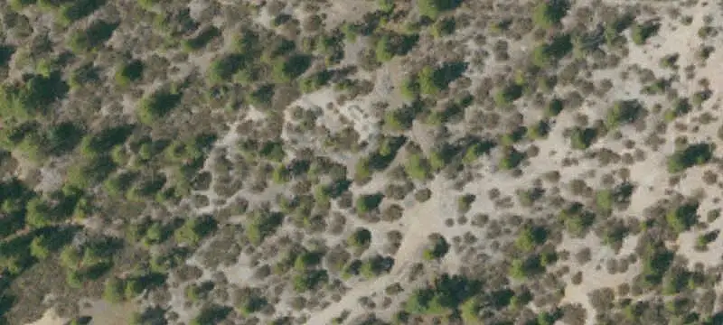 Patented Gold Mine Property