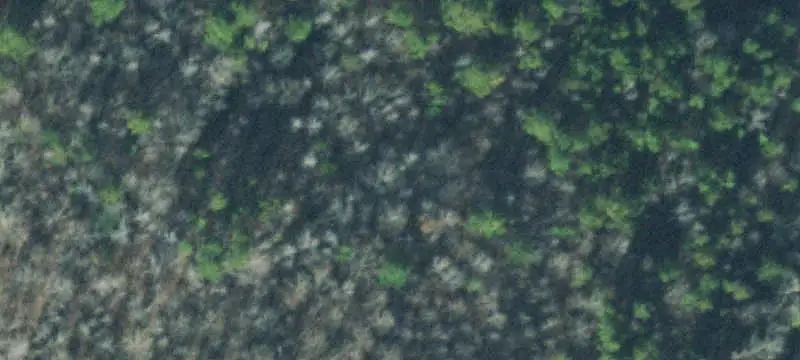 Ridge-Top Hunting Land