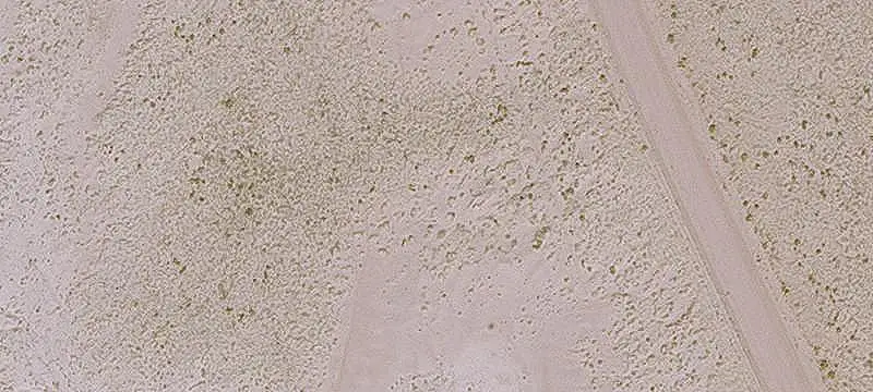 Off-Grid Land