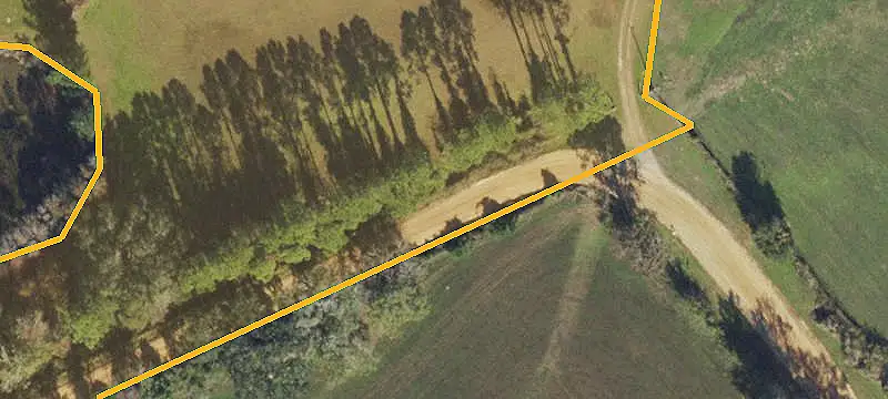 Hunting Land with Cypress Heads
