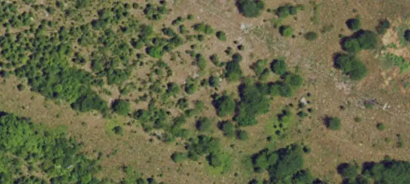 Unimproved Land