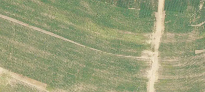 Lots/Land