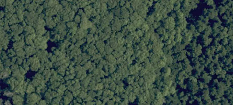 Land Parcel