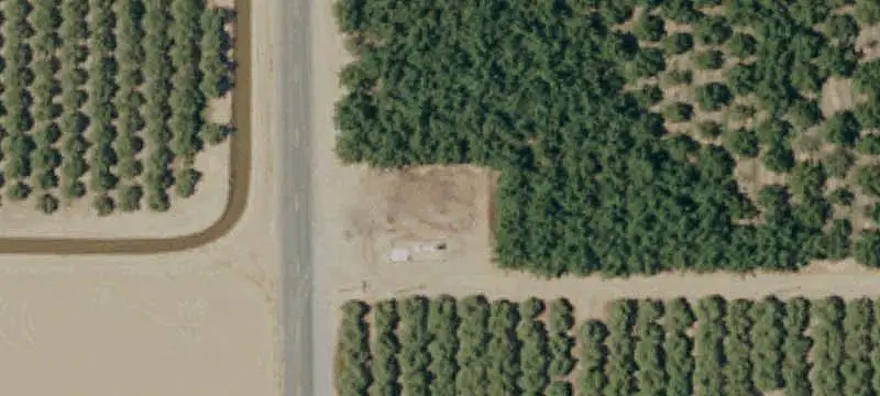 Almond and Walnut Farm
