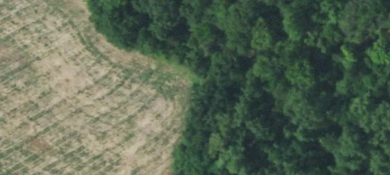 Large Ranch with Livestock Corrals