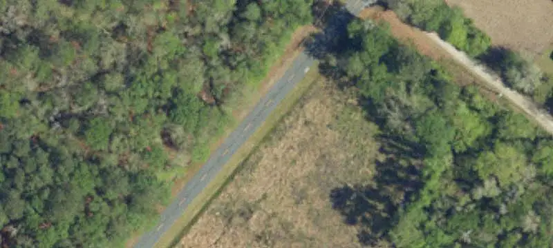 Hunting Land with Homesite