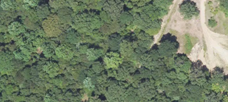 Hunting Land with Cabin