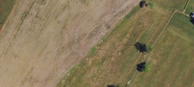 Equestrian Farm with Riding Arena
