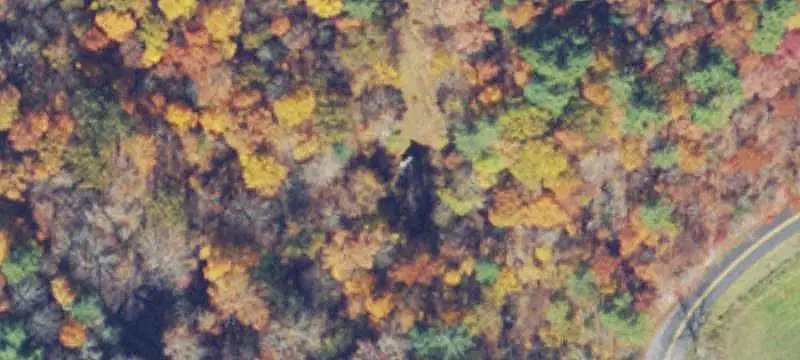 Woodland Hunting Land with Cabin