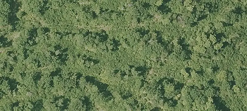 Rural Land with Road Access