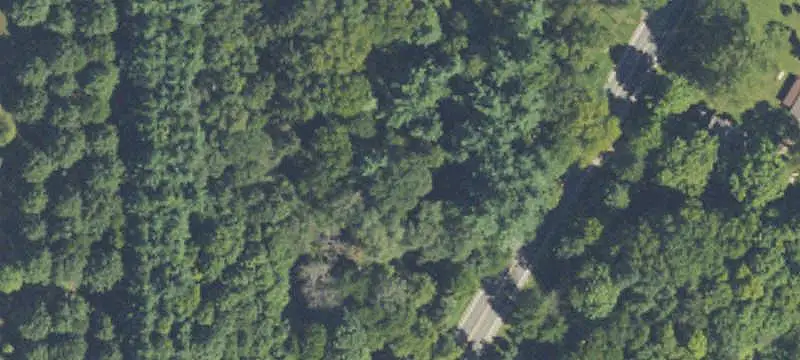 Wooded Land Parcel
