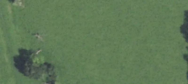 Wooded Agricultural Land