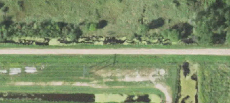 Wooded Hunting Land with Trail Access