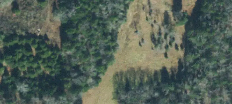Farm