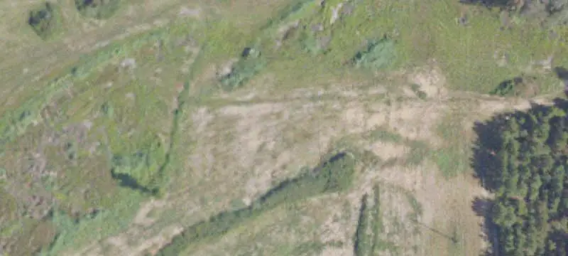 Flint River Hunting Land
