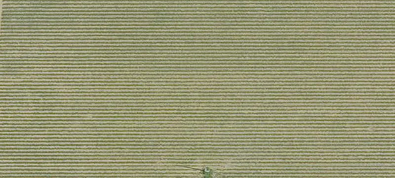 Vacant Land