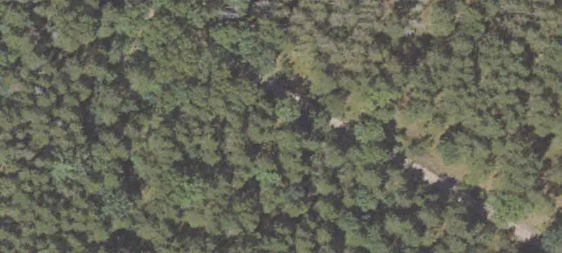Hunting Land with Small Cabin