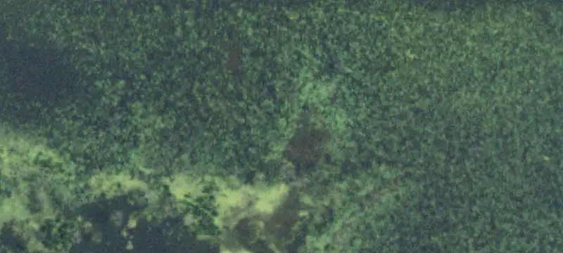 Unimproved Land
