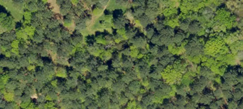 52-Acre Land Tract