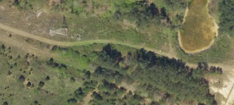 Wooded Hunting Land