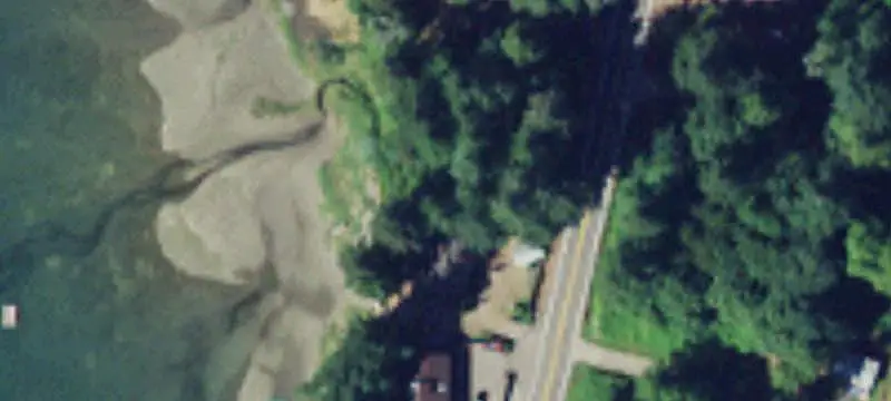 Wooded Waterfront Land