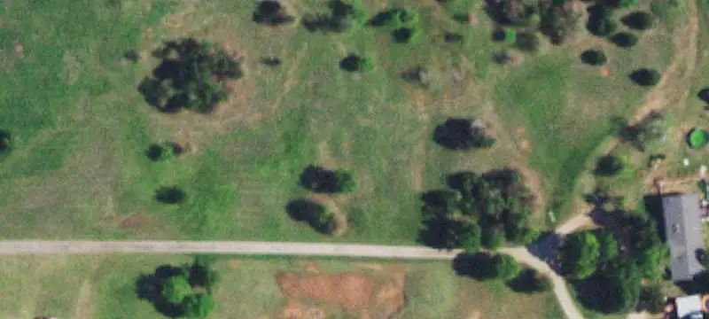 Wooded Agricultural Land with Shop
