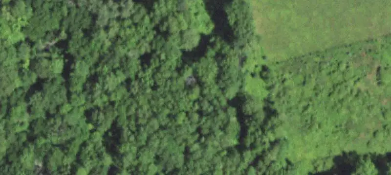 Rolling Highland Hunting Land