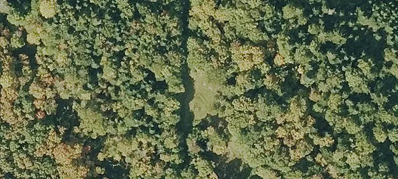 Land with Trail Access