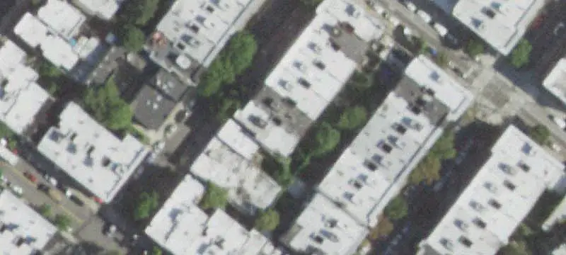 Pre-War Triplex With Rear Yard