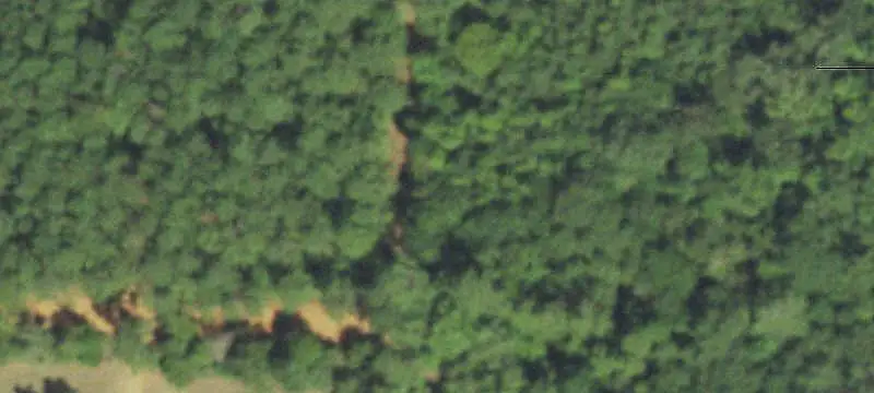 Timberland Agricultural Tract