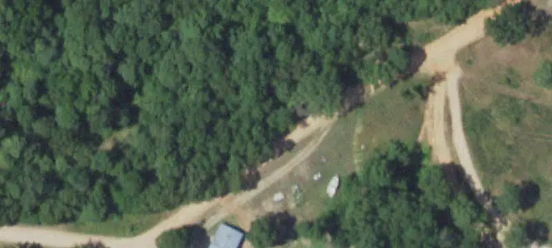 Wooded Land with Wildlife