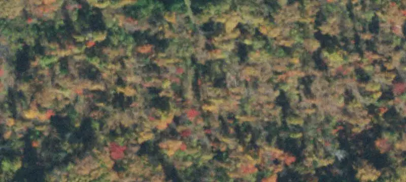 Land / Farm