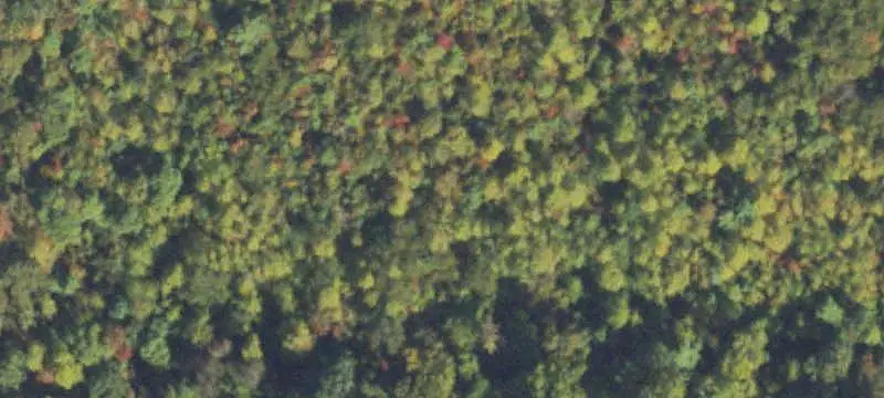 Land/Lot