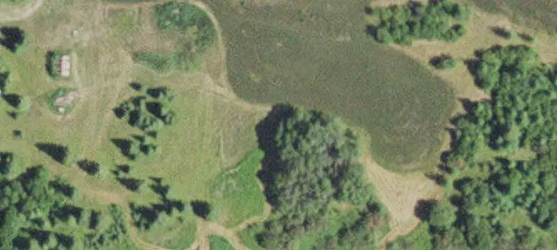 Wooded Recreational Land