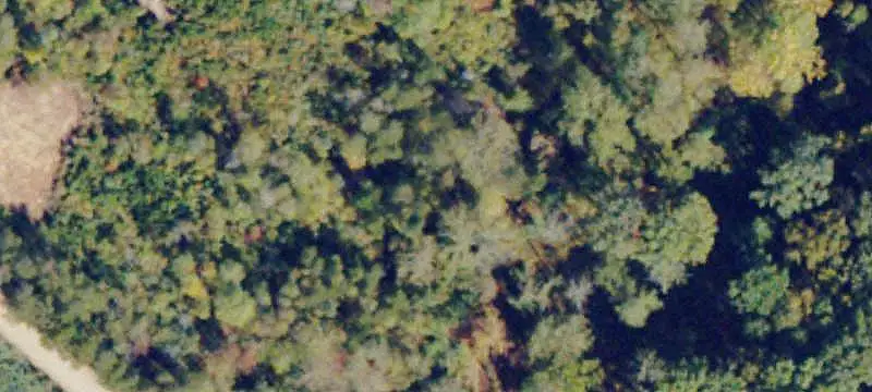 Land Parcel