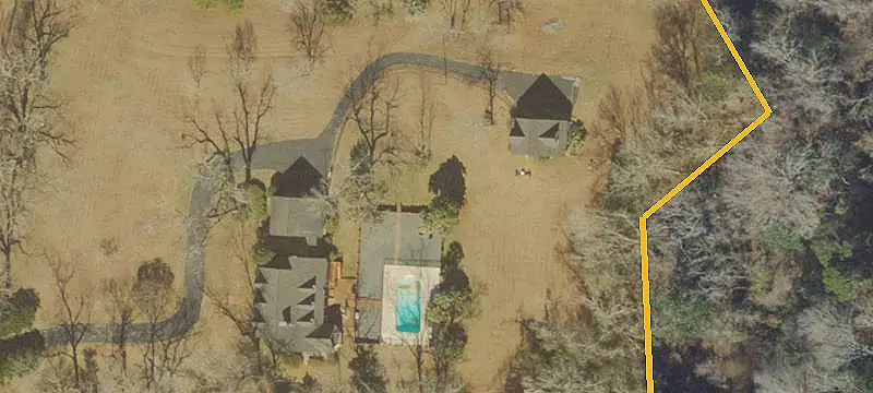 Farm with Pine Plantation