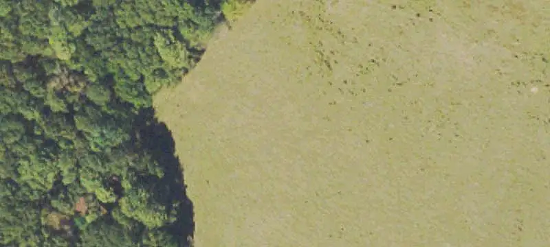 Land/Lot