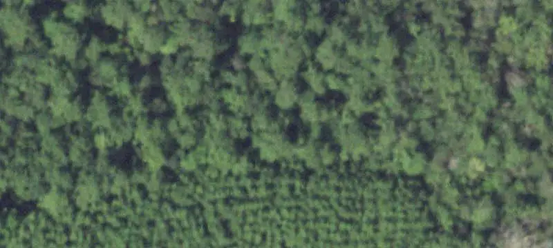 Wooded Commercial Land with Pond
