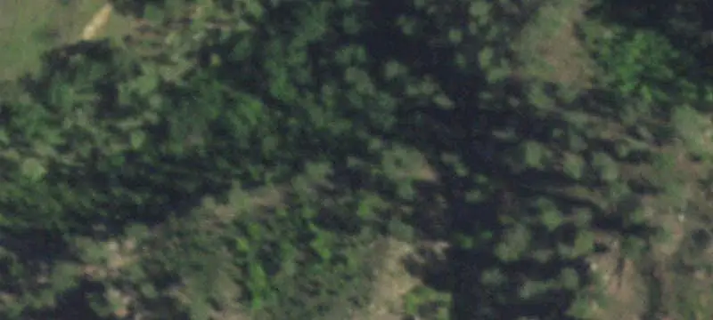 Unimproved Land
