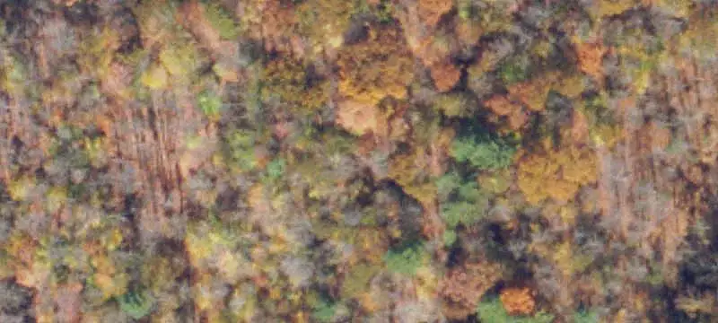 Land, Business for Sale