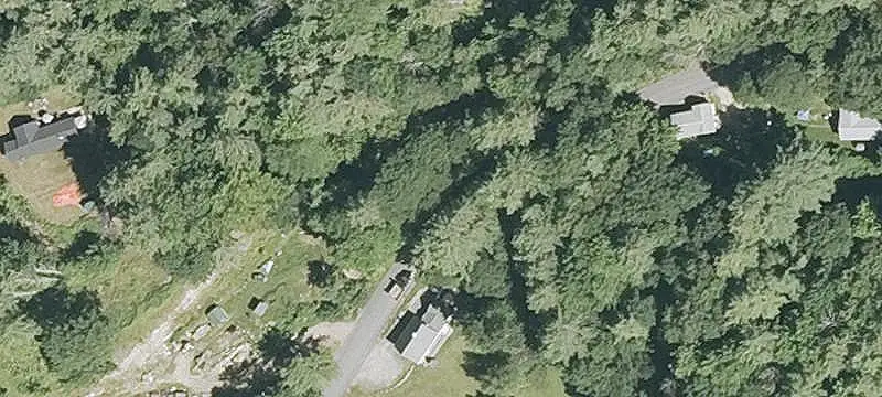 Wooded Land Parcel